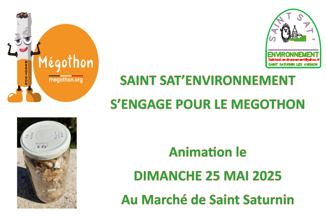 Capture décran 2025-05-13 153937
